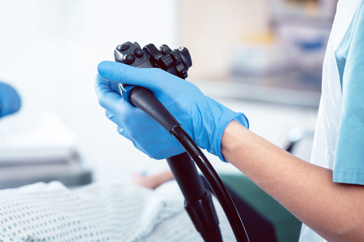 胃カメラ・大腸カメライメージ画像